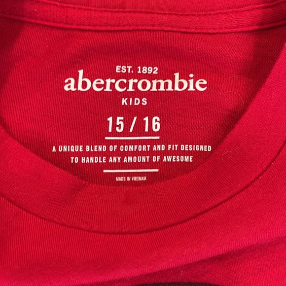 Boys Abercrombie Kids T Shirt-15/16 - Picture 3 of 5